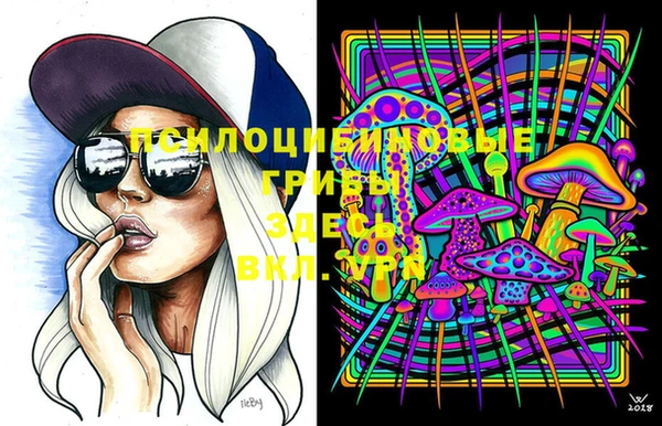 кокс Баксан