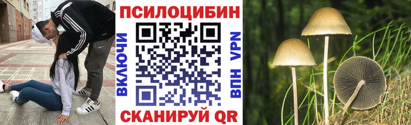 где купить наркотик  Красноуфимск  Галлюциногенные грибы Psilocybine cubensis 